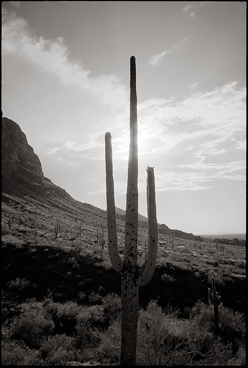 az-35-1-7490ss.jpg