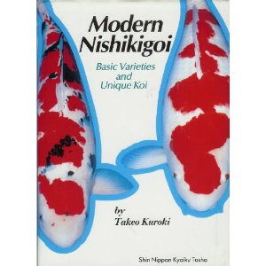modern_nishikigoi