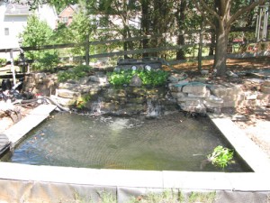 esearing.com/pond/ Koi pond